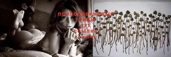 jwh Бронницы