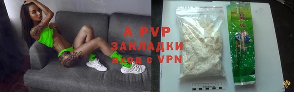 шишки Богородск