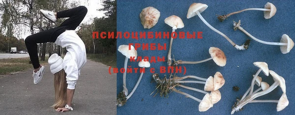 дурь Бугульма
