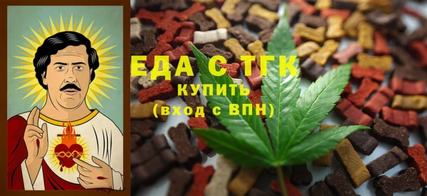 тгк Богородицк