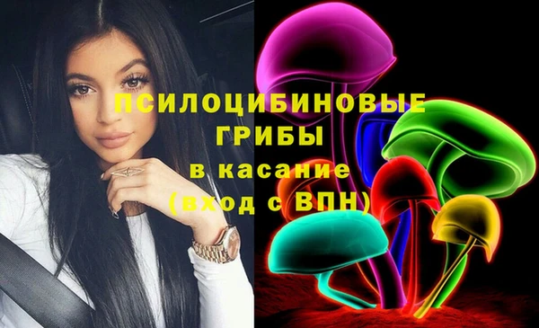 дурь Бугульма