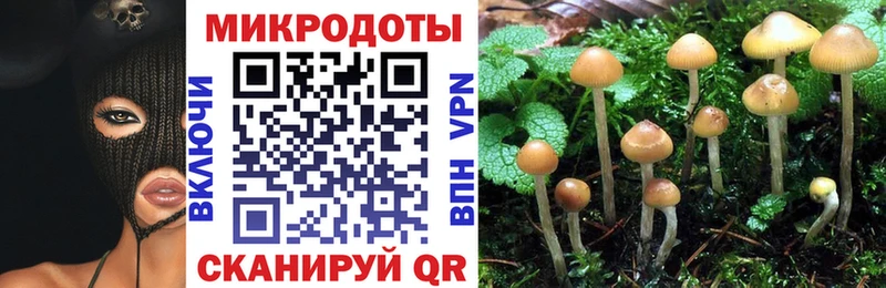 Псилоцибиновые грибы прущие грибы  гидра вход  Муравленко 